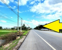 ขายที่ดินถนนคลอง 12 ลำลูกกา-ธัญบุรี ติดถนนลาดยาง