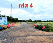 ขายที่ดิน 100 ตรว องครักษ์ คลอง 15 (ตลาดขายต้นไม้)