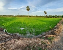 ขายที่ดินเปล่า คลองเขื่อน ฉะเชิงเทรา 1