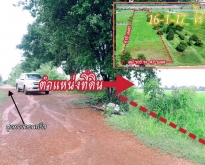 ขายที่ดินเปล่าบ้านน้ำตูม ต.ปากโทก อ.เมืองพิษณุโลก เนื้อที่ 16-1-1