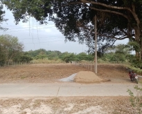 [ขายด่วน]ที่ดิน 233 ตร.ว. ต.ดอนแก้ว อ.แม่ริม จ.เชียงใหม่