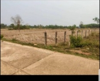 ที่ดินขนาด 8 ไร่ 61 ต.ร.ว. ติดถนนคอนกรีต อ.บ้านแพง จ.นครพนม