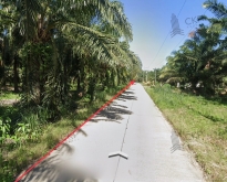 ขาย ที่ดินเปล่า สวนปาล์ม ใกล้ถนนเพชรเกษม ฝั่งขาขึ้นกทม.
