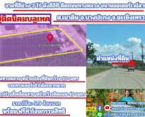 ขายที่สีม่วง 3 ไร่ ผังอีอีซี รถเทรลเลอร์เข้าได้ อ.บางปะกง จ.ฉะเชิ