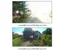 ขาย บ้านเดี่ยวตึกชั้นเดียว  ต.ปากน้ำ อ.เมืองกระบี่ จ.กระบี่