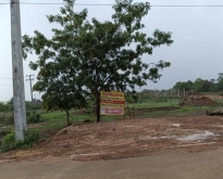 ขายที่ดิน12ไร่ (แบ่งขาย) ในเมืองหนองคาย