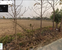 ขายที่ดิน บ้านต๋อม อ.เมือง จ.พะเยา โฉนดครุฑแดง