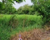ที่ดินคลองหก ซอย 19 ตะวันตก น้ำไฟพร้อม ติดถนน 2 ไร่