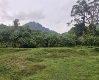 ขายที่ดิน บ้านลิพอน-ควนตาแท่น อำเภอถลาง จังหวัดภูเก็ต