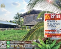 ขายด่วนที่ดิน 111 ตรว ต.สะแกราช  อ.ปักธงชัย  จ.นครราชสีมา