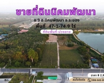 ขายที่ดิน ซอย 9 -นิคมพัฒนา-ระยอง  ติดถนน พื้นที่ม่วงลาย
