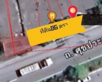 ขายที่ดินชลบุรี​ ติดถนนสุขประยูร