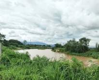 ขายที่ดินติดแม่น้ำปิง 7-3-05 ไร่ อ.แม่แตง เชียงใหม่