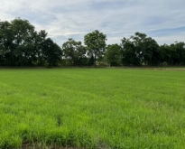 ขายที่ดินทำเลดี  19 ไร่ ตำบลทุ่งโพธิ์ อำเภอตะพานหิน จังหวัดพิจิตร