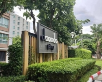 พลาดไม่ได้ ขายคอนโดติดเซ็นทรัลเฟสเชียงใหม่ D CONDO PING