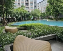 พลาดไม่ได้ ขายคอนโดติดเซ็นทรัลเฟสเชียงใหม่ D CONDO PING