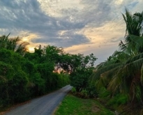 ขายบ้านพร้อมที่ดิน เสม็ดใต้ บางคล้า ฉะเชิงเทรา 1
