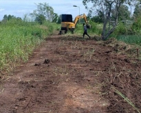ที่ดินเปล่า ใกล้วัดป่าคลอง 11 อำเภอ หนองเสือ จังหวัด ปทุมธานี