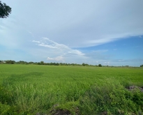 ขายที่ดินติดถนน ติดคลอง 9 ไร่เศษ ต.คลองบ้านโพธิ์ จ.ฉะเชิงเทรา