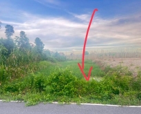 ขายที่ดิน คลองห้าคลองหลวงซอยตะวันออก24