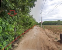 ที่ดิน29-3-25 ไร่ พร้อมสวนยาง คำเขื่อนเเก้ว อุบล