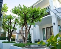 ให้เช่าบ้านเดี่ยวหรู เพอร์เฟค มาสเตอร์พีซ สุขุมวิท77