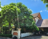 ขายบ้านเดี่ยว พฤกษ์ภิรมย์ รีเจ้นท์