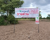 ที่ดินเปล่า 7-1-79.3 ไร่ ต.บ้านขาม อ.จัตุรัส จ.ชัยภูมิ