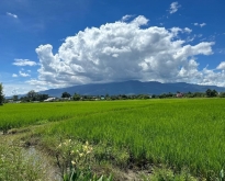 พลาดไม่ได้! ที่ดินถมแล้ว วิวภูเขาและวิวทุ่งนาสวย อ.เมือง เชียงใหม่