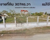 โซนแม่โจ้ ขายที่ดินตรว.ละ 30,000 บาท เนื้อที่ 307 ตรว. สันทราย