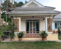 คุ้มสุดคุ้ม ขาย/ให้เช่า สันกำแพง บ้านชั้นเดียว บ้านสวย เนื้อที่กว