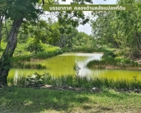 ขายที่ดิน 2-0-10ไร่ด้านหลังติดวิวน้ำ คลองหลวง คลองสาม ปทุมธานนี