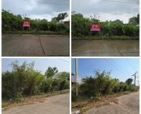 ขายที่ดินสมุทรปราการ บางพลี แปลงสวยถมแล้ว 185ตรว. หมู่บ้านกรีนเลค