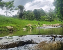 ขายที่ดินติดลำธาร แปลงสวยสุดๆ วิวขั้นเทพ 1-0-69 ไร่ บ้านปง อ.หางดง เชี
