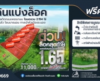 ขายที่ดินแบ่งล็อคติดถนน ขนาดที่ดิน 154 ตารางวา  จ.ระนอง