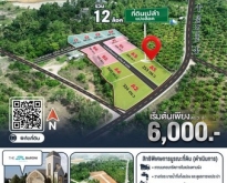 ขายที่ดินแบ่งล็อค รวม 7 ไร่ ถนน 14 โค้ง    จังหวัดระนอง