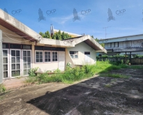 ขาย ที่ดินพร้อมสิ่งปลูกสร้าง 239.8 ตร.วา รอบๆกว้างขวาง กลางเมืองน