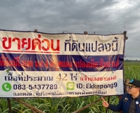 ด่วน ขายที่ดินแม่สอด-ห้วยกระโหลก จำนวน42ไร่ ***(ที่ดินมีโฉนด นส.4 ครุฑ