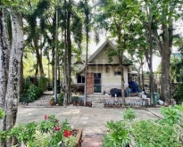 P1 ที่ดิน 2 ไร่ พร้อมสิ่งปลูกสร้าง ไทรน้อย - นนทบุรี