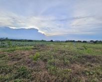 ขายที่ดินติดถนน​พุทธสาคร