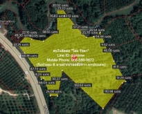 ขายที่ดินเปล่าสวนปาล์ม ท้ายเหมือง พังงา 36-2-23.4 ไร่ (ติด ถ.เพชร