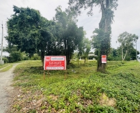 ที่ดินพร้อมบ้านที่อยู่อาศัย ด้านหน้าติดถนนเอเชีย ใกล้ศูนย์ราชการน