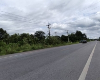 ขายที่ดินทำบ้านสวน ใกล้รีสอร์ทอัญชัน 50เมตร