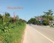 ขายที่ดิน 95 ไร่ ติดถนน วิวภูเขา เหมาะสำหรับทำโรงแรม รีสอร์ท ปากช