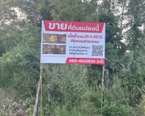 ขายที่ดินทำเลดี รวม 3 แปลง จังหวัดขอนแก่น