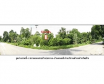 ขายที่ดิน ต.บ้านพร้าว อ.ป่าพะยอม จ.พัทลุง