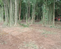 Vาย ที่ดินติดแม่น้ำน้าน ที่ดินจังหวัดน่าน เมืองจัง เหมาะทำรีสอร์ต