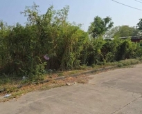 ขายที่ดินสมุทรปราการ บางพลี แปลงสวยถมแล้ว 185ตรว. สามารถปรับเพื่อปลูก