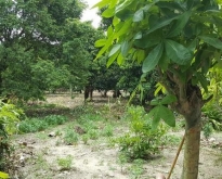 ขายที่ดินหัวหิน 7 ไร่ 36 ตร.ว. ติดถนนหลวงสี่เลน