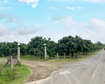 ขายที่ดินสวนผลไม้จันทบุรี